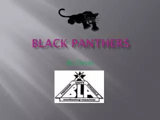 Black Panthers