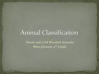 Animal Classificaiton
