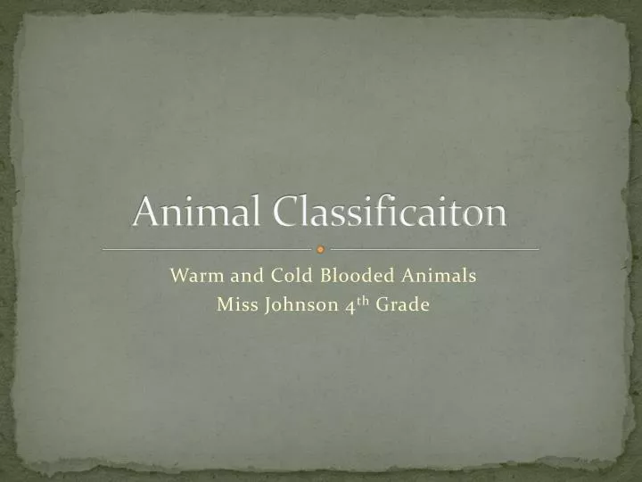 animal classificaiton