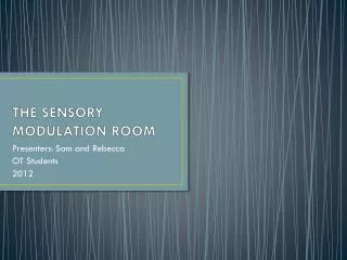 THE SENSORY MODULATION ROOM