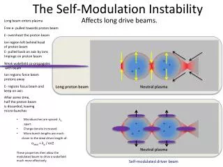 The Self-Modulation I nstability
