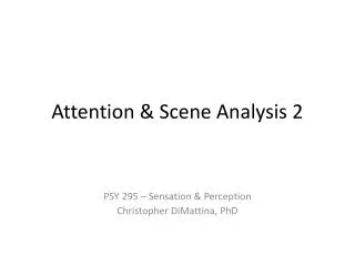 Attention &amp; Scene Analysis 2