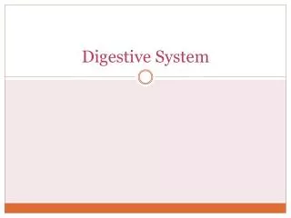 Digestive System