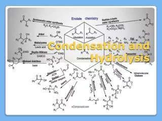 Condensation and Hydrolysis