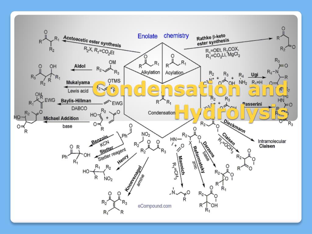 PPT Condensation And Hydrolysis PowerPoint Presentation Free ppt-condensation-and-hydrolysis-powerpoint-presentation-free
