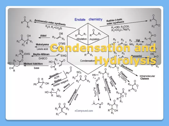 condensation and hydrolysis