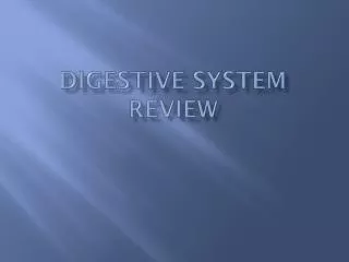 Digestive System Review