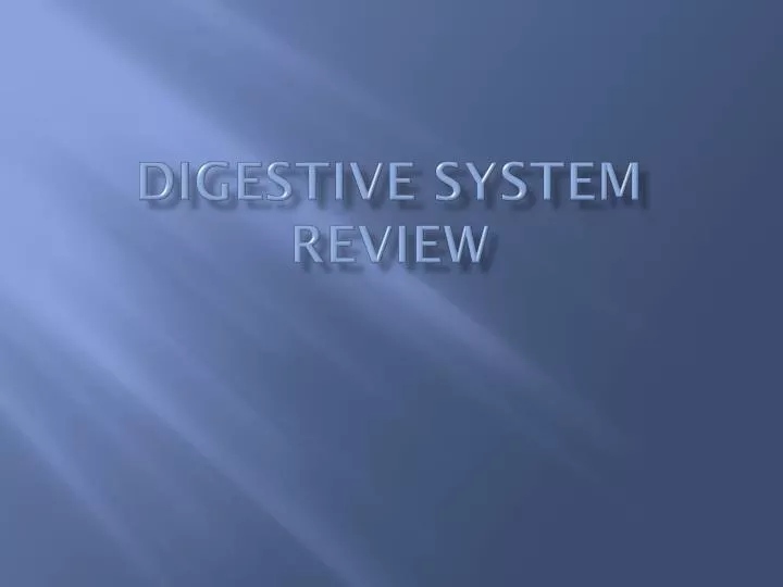 digestive system review