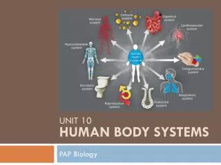 Unit 10 Human Body Systems