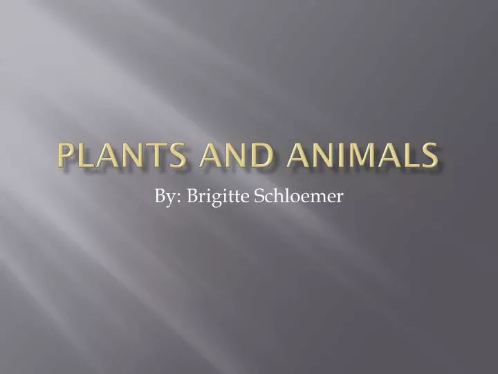 plants and animals