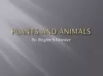 Plants and Animals - slide 1