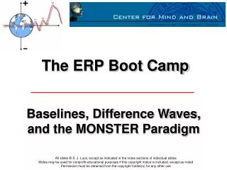 The ERP Boot Camp