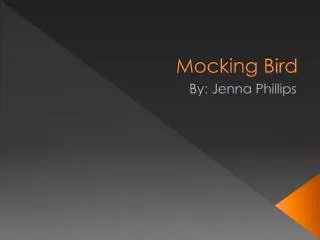 Mocking Bird