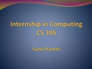 Internship in Computing CS 395 Sunil Panthi