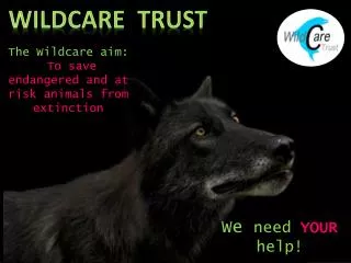 Wildcare trust