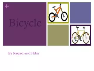 Bicycle