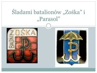ladami batalion w zo ka i parasol
