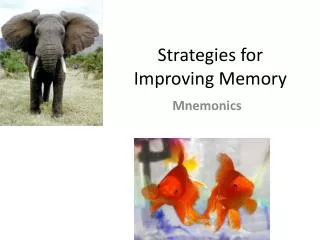Strategies for Improving Memory