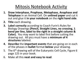 Mitosis Notebook Activity