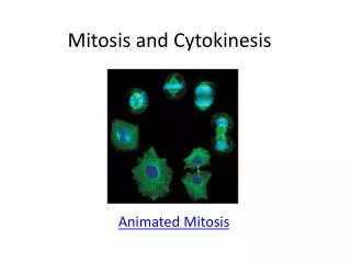 Mitosis and Cytokinesis