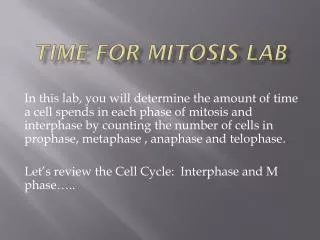 Time for Mitosis Lab