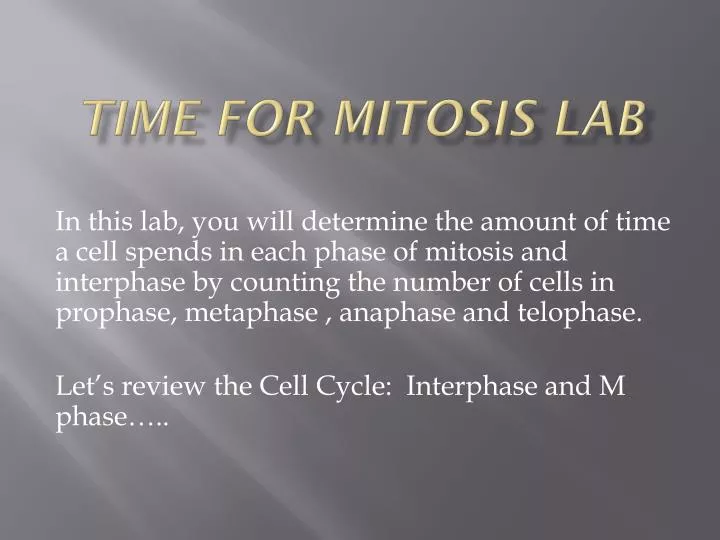 time for mitosis lab