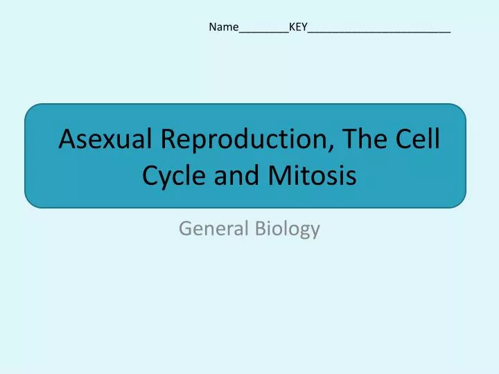 asexual reproduction the cell cycle and mitosis