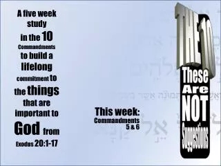 This week: Commandments 5 &amp; 6