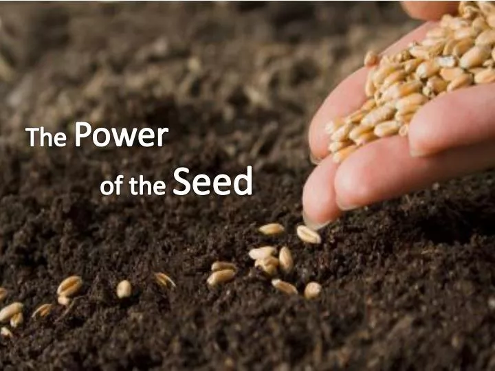 the power of the seed