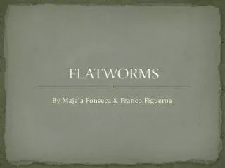 flatworms