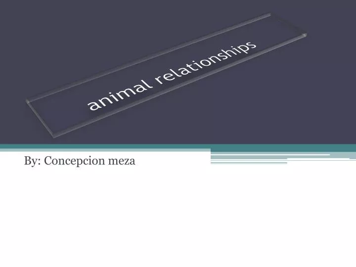 animal relationships