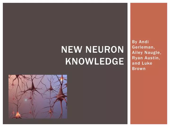 new neuron knowledge
