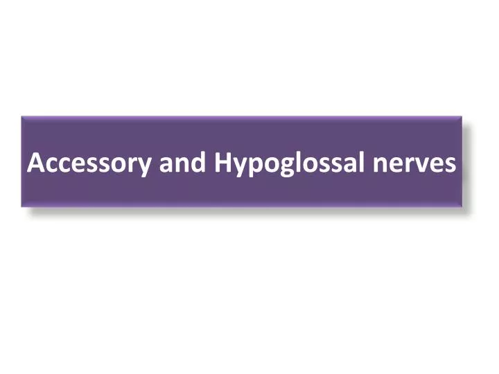 accessory and hypoglossal nerves