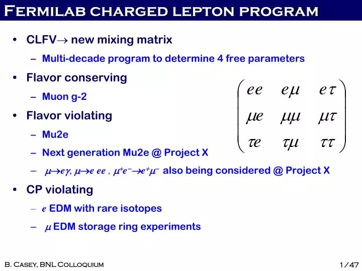 fermilab charged lepton program