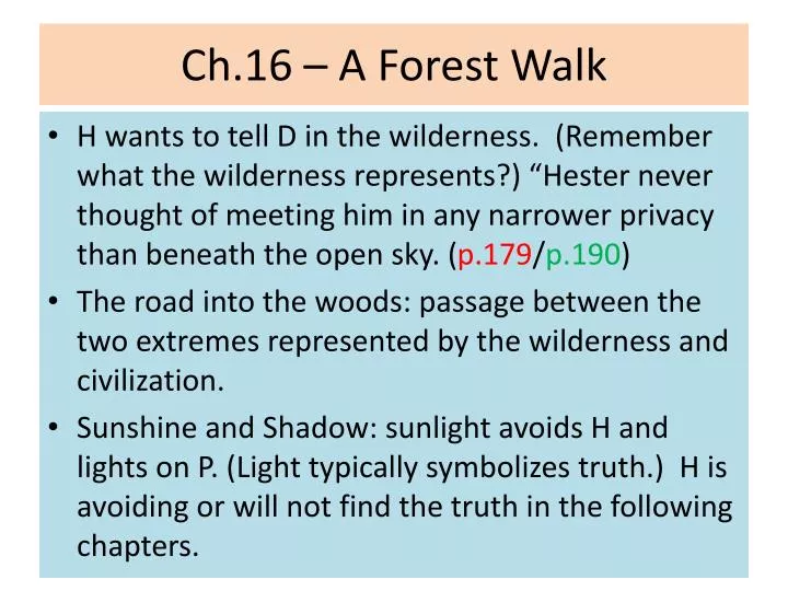 ch 16 a forest walk