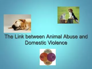The Link between Animal Abuse and Domestic Violence