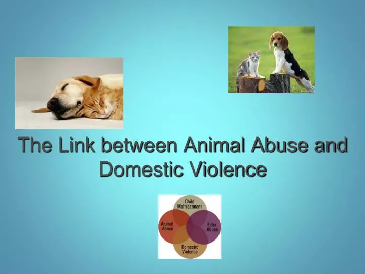 the link between animal abuse and domestic violence