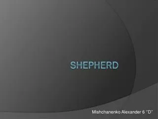 Shepher d