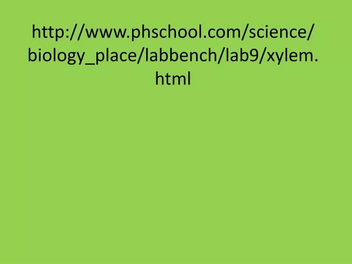 http www phschool com science biology place labbench lab9 xylem html
