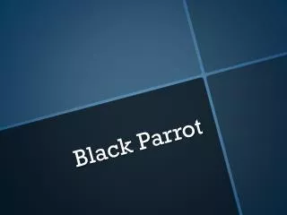 Black Parrot