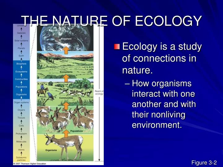the nature of ecology