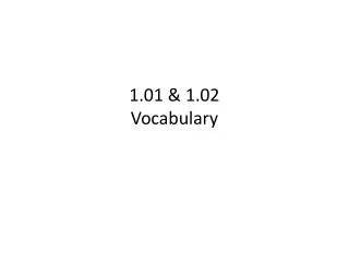 1.01 &amp; 1.02 Vocabulary