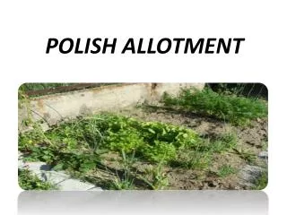 POLISH ALLOTMENT