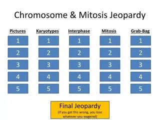 Chromosome &amp; Mitosis Jeopardy