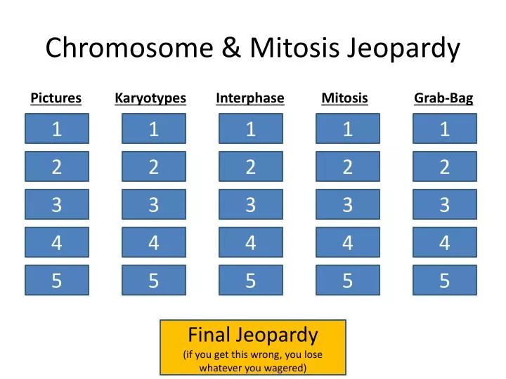 chromosome mitosis jeopardy