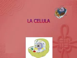 la celula
