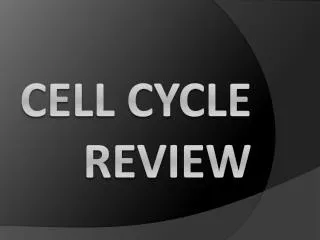 cell cycle review