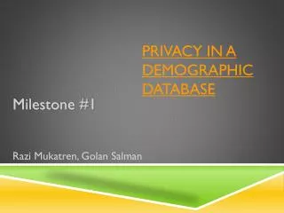 Privacy in a Demographic Database