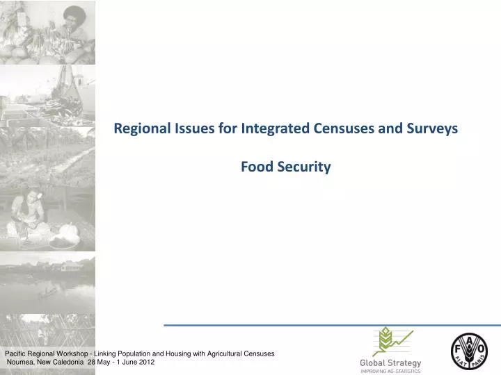 regional issues for integrated censuses and surveys food security