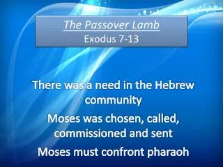 The Passover Lamb Exodus 7-13